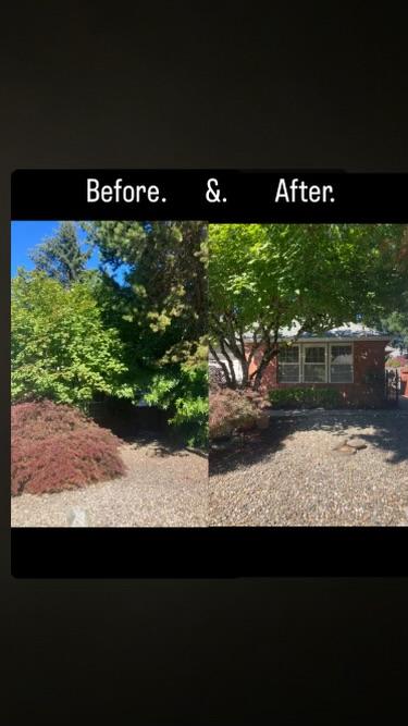 Lawn care and maintenance