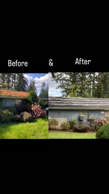 Professional landscaping service